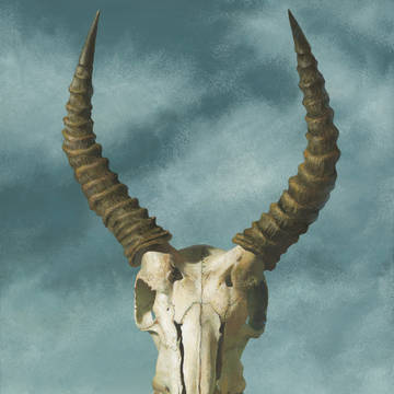 sacrifice