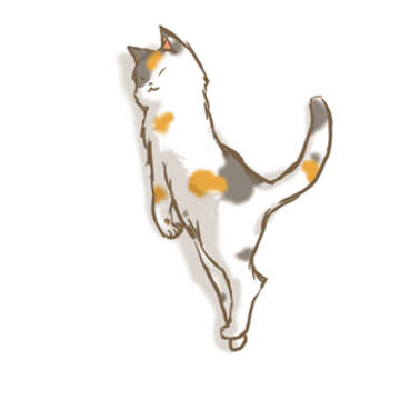 にゃごみふぉんと"Y"