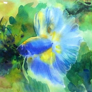 青い魚