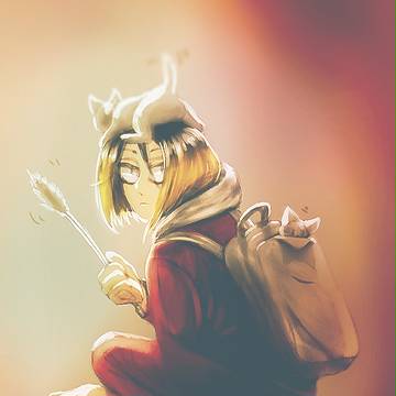 猫