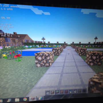 マイクラにて。