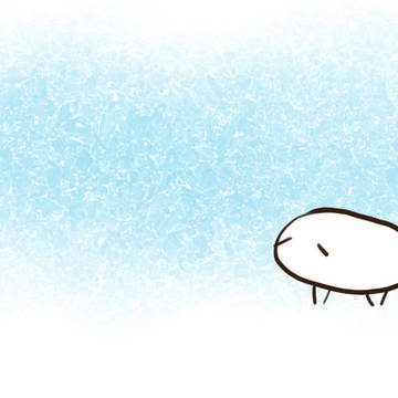 コツ~~~