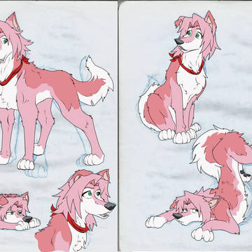Sakura dog version