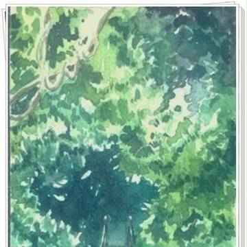 风景