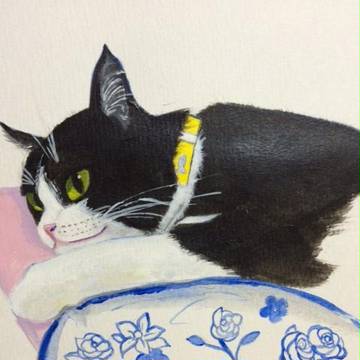 のんびり猫
