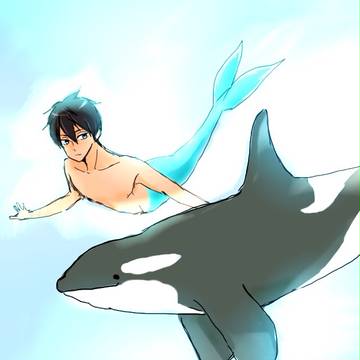 人魚ハルちゃんとシャチまこちゃん