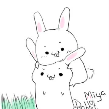 Rabbit❤