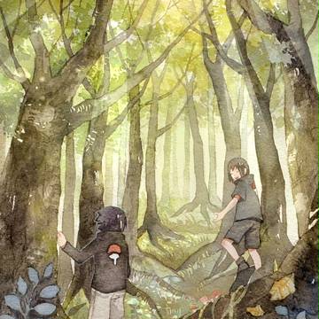 森と夏の色