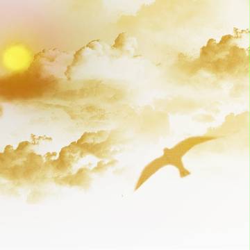 Yellow Sky