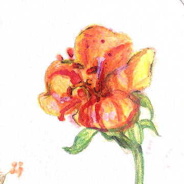 花