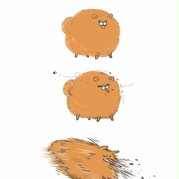 ポメ☆
