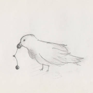 インコ