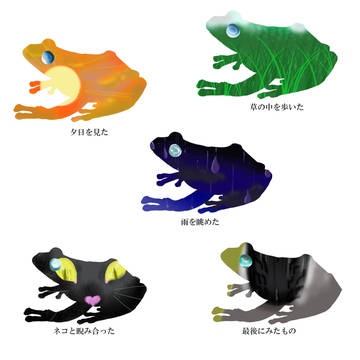 カエルの景色