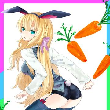 こんなバニーがよかったんだよ！！