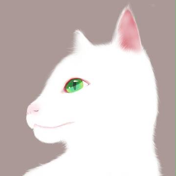 ねこ