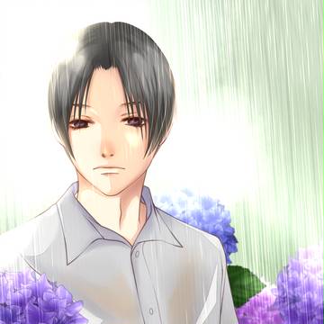 楓　紫陽花　雨　