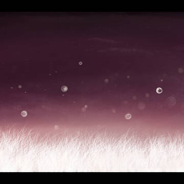 夜中に泡を吹いて