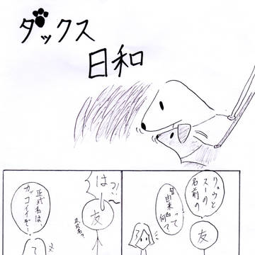 ダックス日和⑪