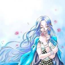 One piece 航海王 薇薇