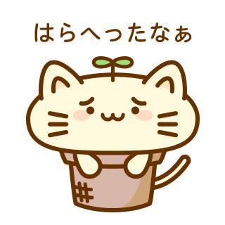 植木ねこ