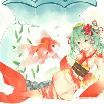 涼しい金魚鉢