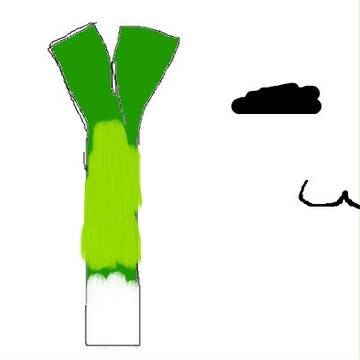 www