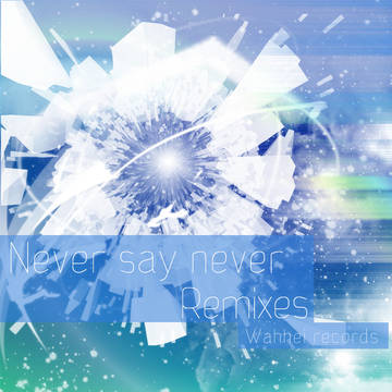 Never say never Remixes