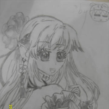 一只菜鸟的画