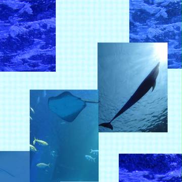 【夢現４】…水・海