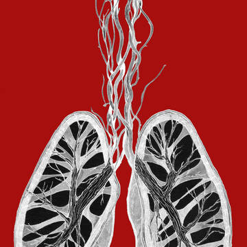 Lung