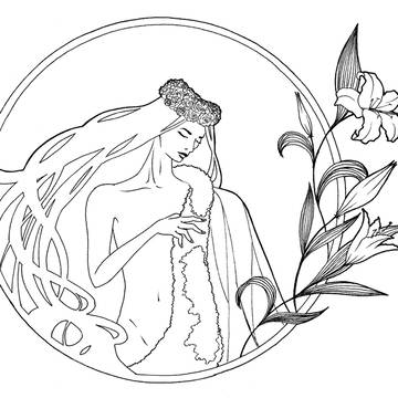 Lilium