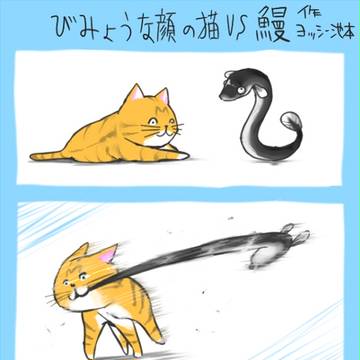 びみょうな顔の猫VS鰻