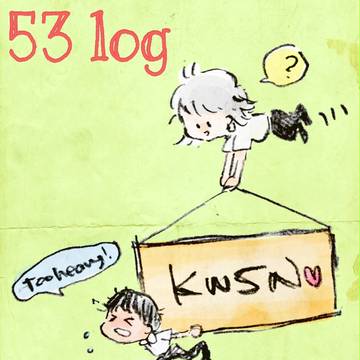 53log