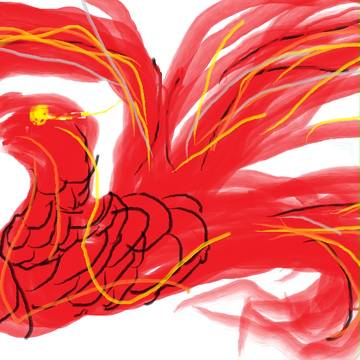 緋の鳥