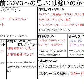 これが自分のVGへの全て！！