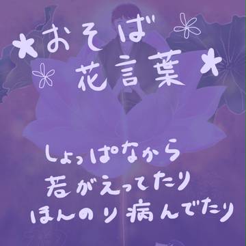 おそばはなことば
