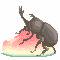 【ドット絵】スイカとカブトムシ