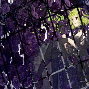 －The Doll－