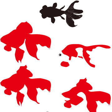 金魚素材