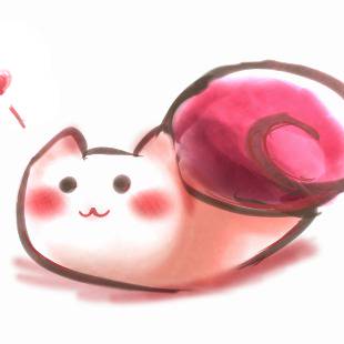 CAT SNAIL