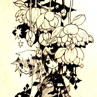 蓮の花と星