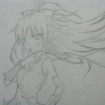 模写