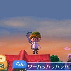 【とび森】バグ技で色んな所乗って遊んでみた