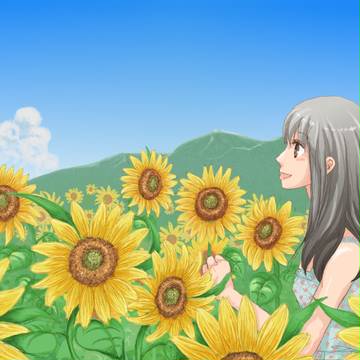 向日葵