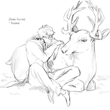 James potter