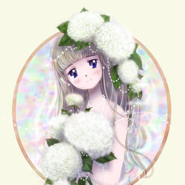 Hydrangeaarborescenscv.Annabelle
