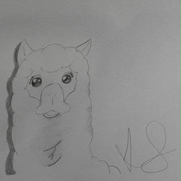 LoveLive animal