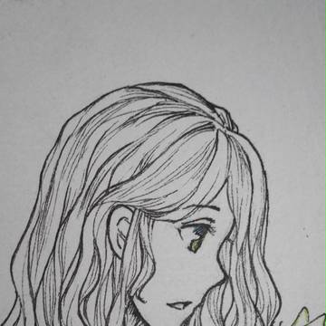 蝶
