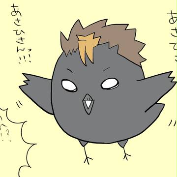 ノヤガラス