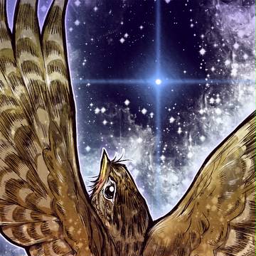 よだかの星